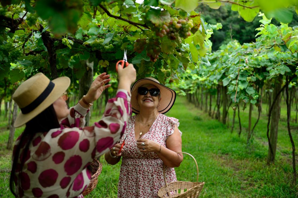 Fotos: Fabiano Limas