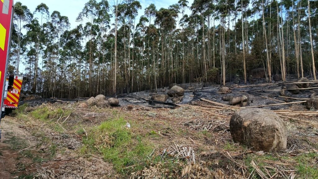 Fotos: CBMSC Divulgação