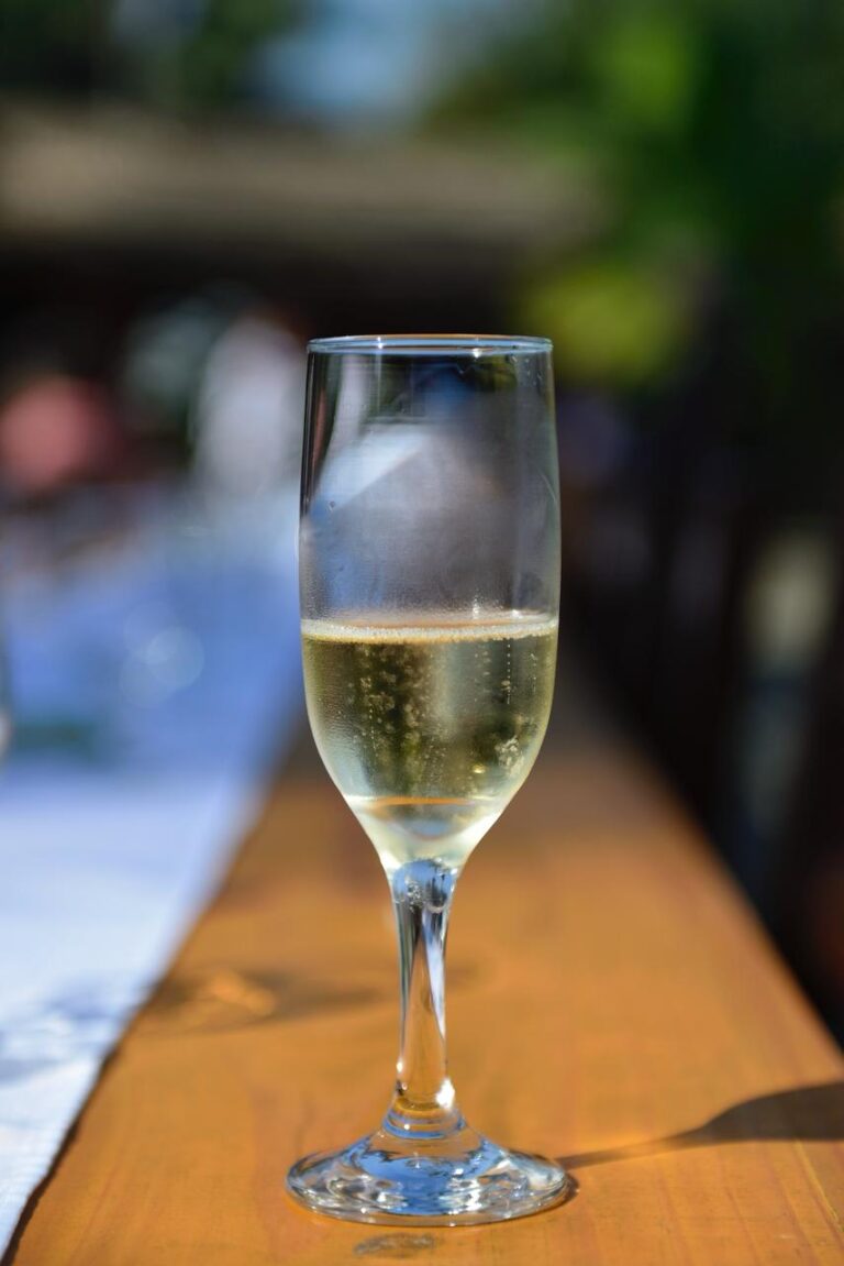 Fotos: Divulgação Progoethe