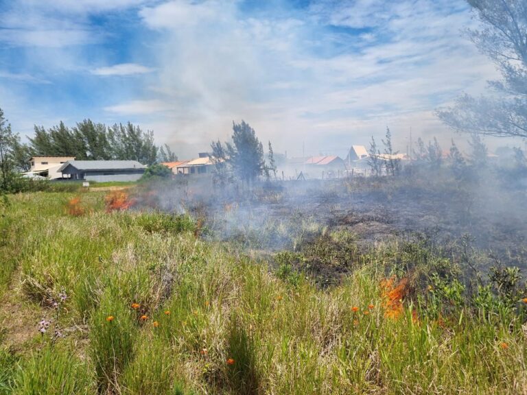 Fotos: Divulgação BVJ