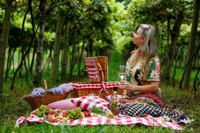 Foto: Divulgação/Progoethe