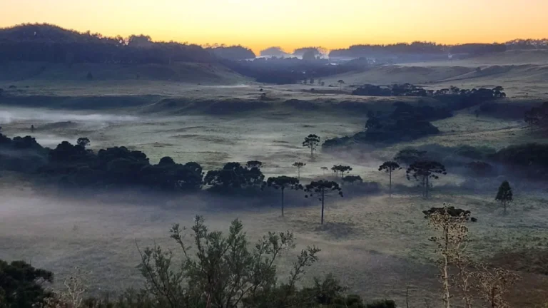 Foto e vídeo: Mycchel Legnaghi