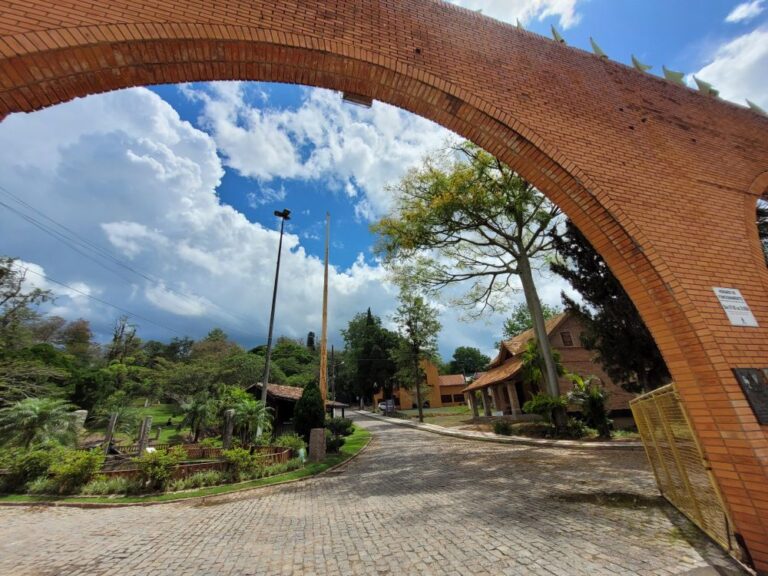 Foto: Ilutrativa/Divulgação