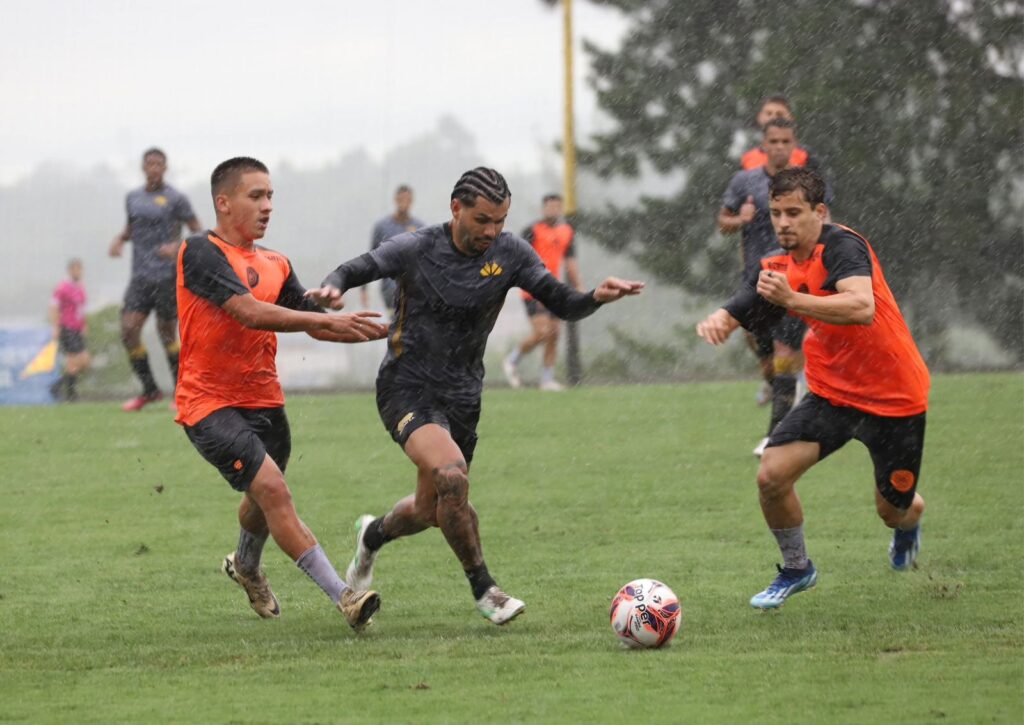 Fotos: Celso da Luz/CEC/Divulgação