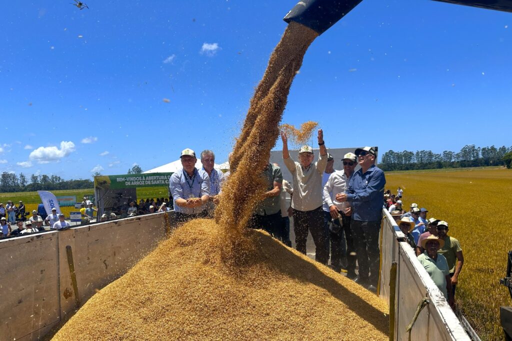 Texto: Francine Ferreira/SindArroz