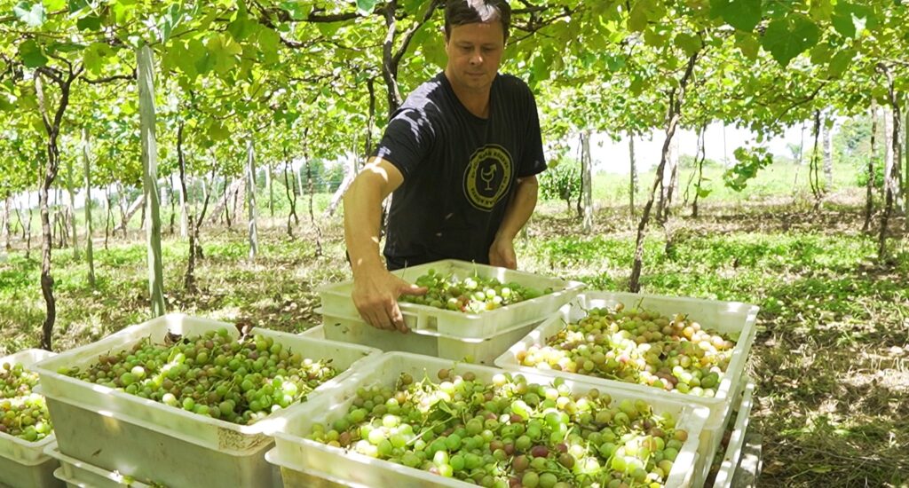 Foto: Gregori Flauzino