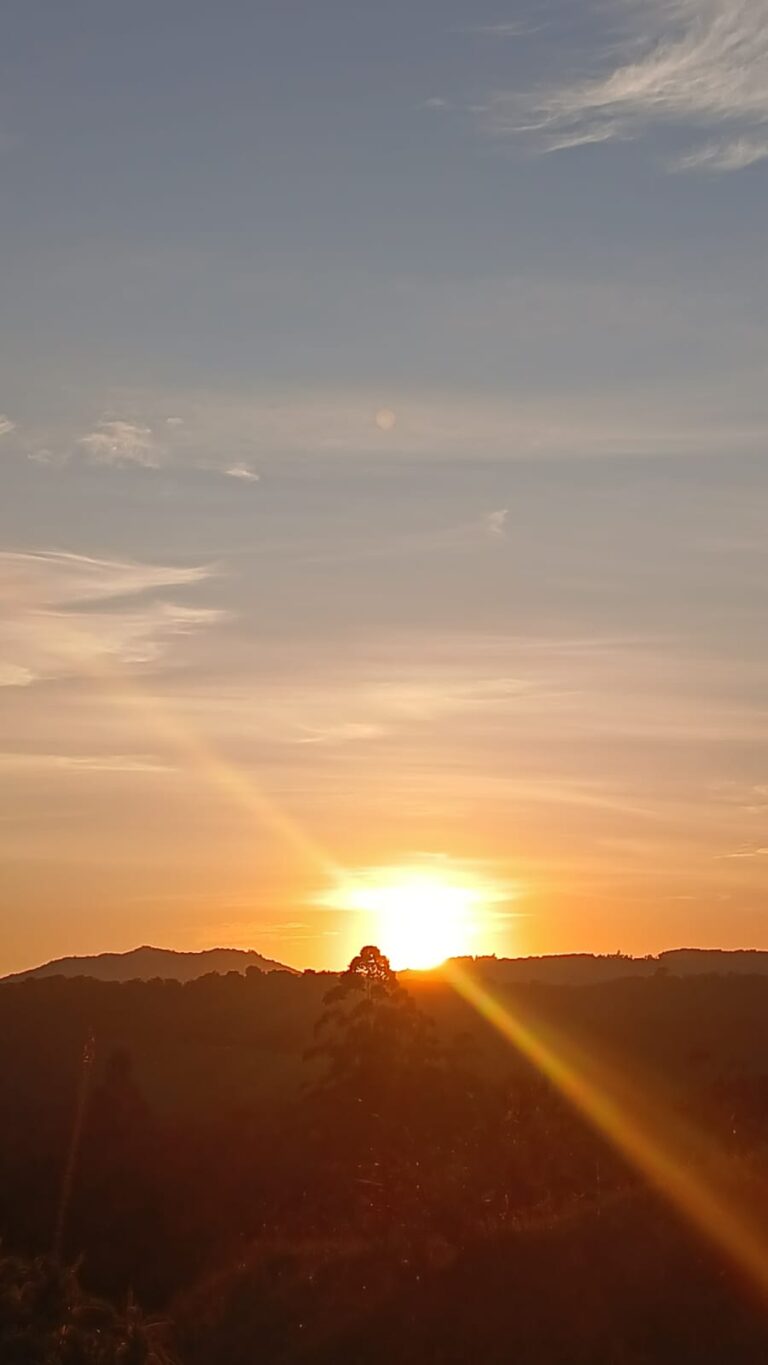 Amanhecer no Rio Carvão - Foto: Piva