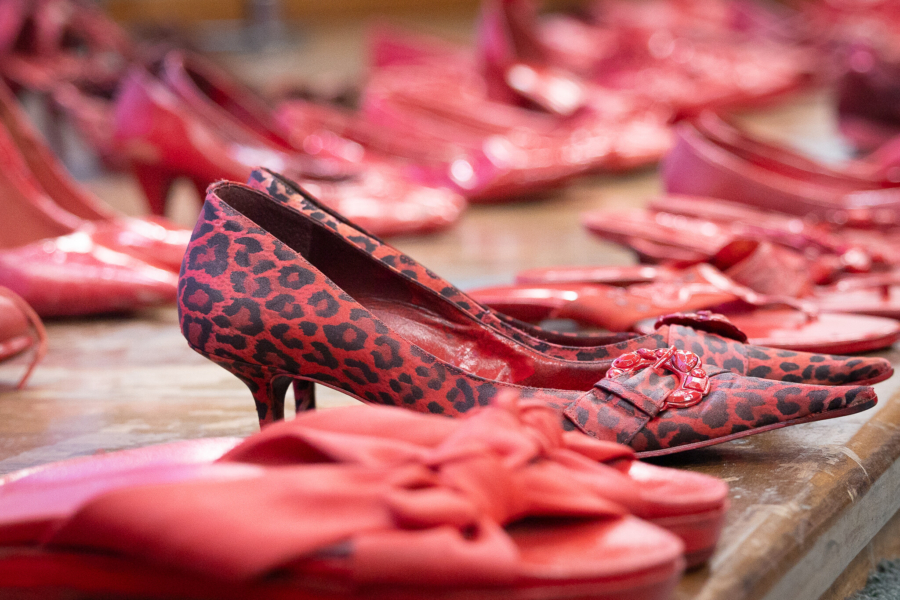 Imagem do evento “Vivas e Decididas Contra o Feminicídio”, realizado no mês de março, na Alesc - Foto: Rodrigo Corrêa / Agência Alesc