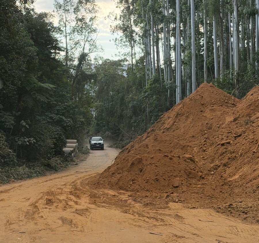 Trânsito segue exigindo atenção dos motoristas - Foto: Divulgação