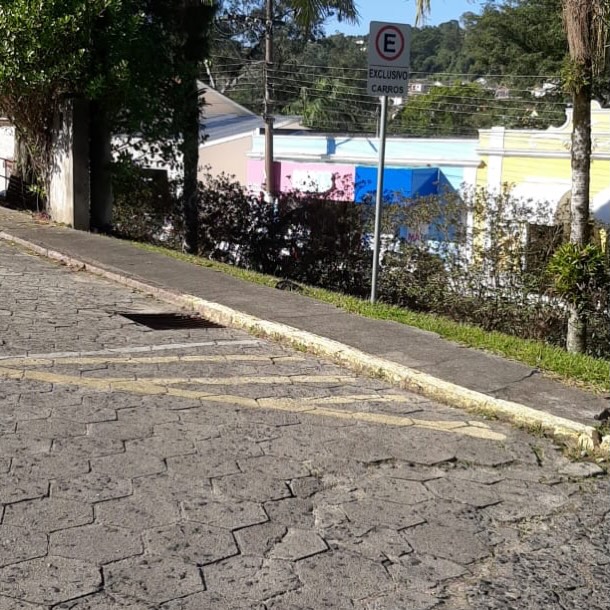 Foto: Reprodução Quatro Patinhas