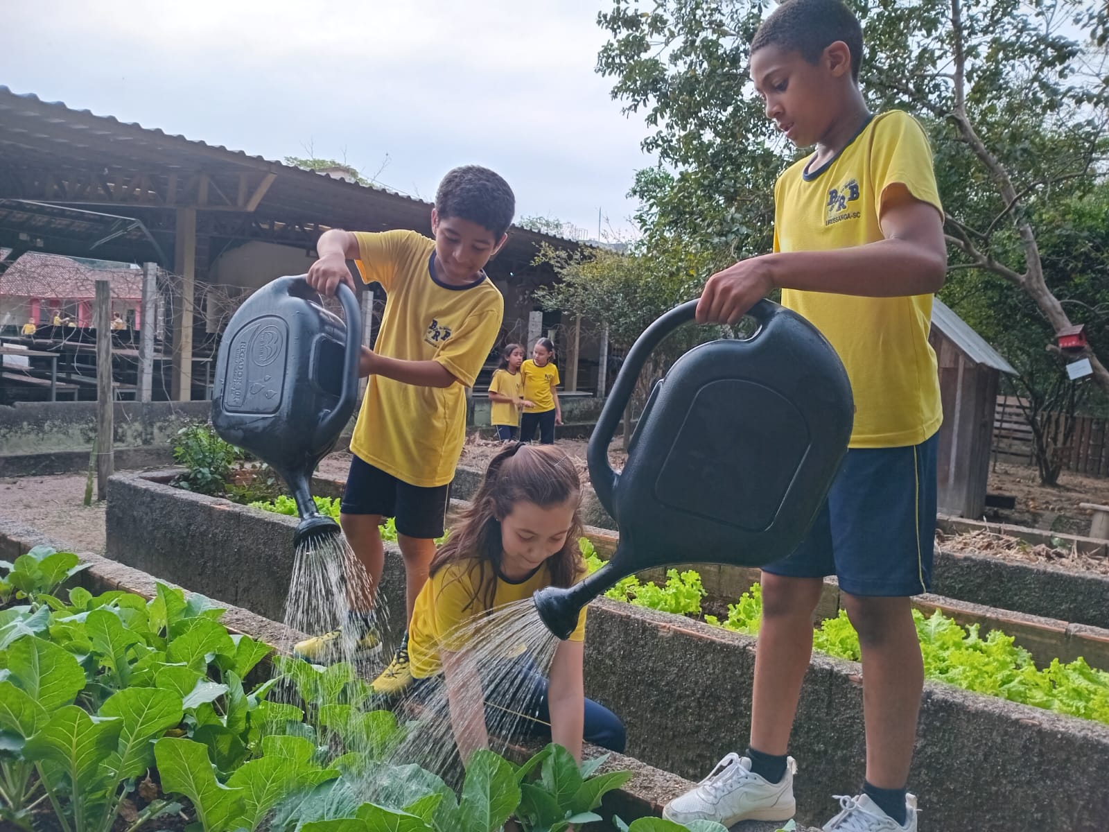 Fotos: Divulgação