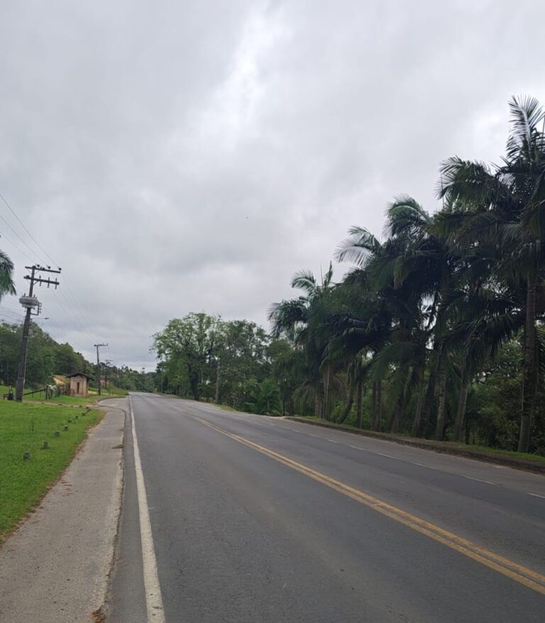 Moradores cobram mais sinalização na SC-108 em Rio Maior - Foto: Especial Portal Conexão Sul