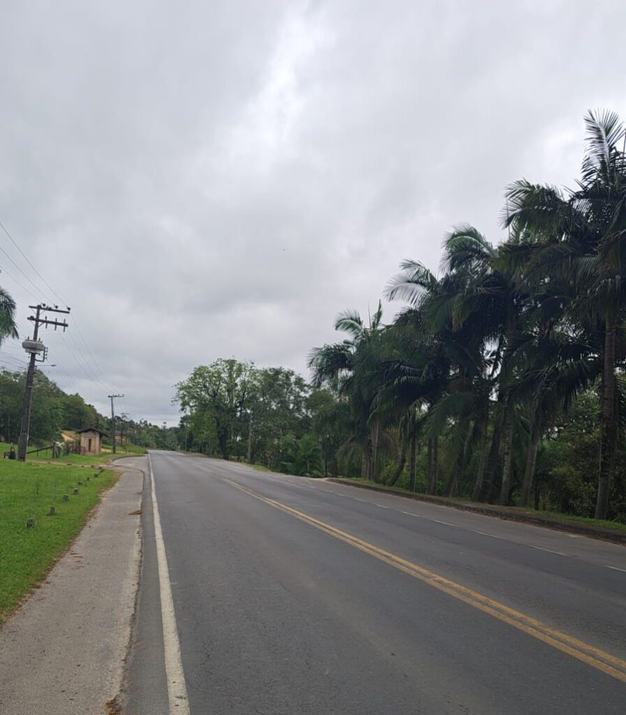 Moradores cobram mais sinalização na SC-108 em Rio Maior - Foto: Especial Portal Conexão Sul